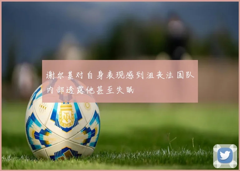 谢尔基对自身表现感到沮丧法国队内部透露他甚至失眠